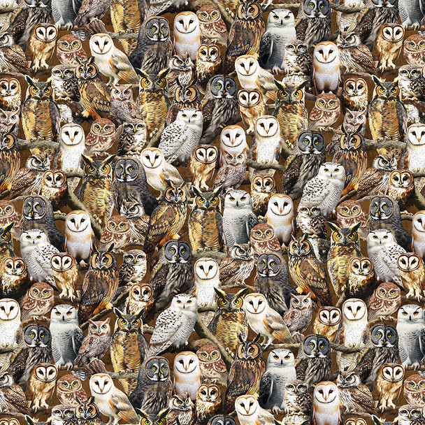 Windham Fabrics Wildlife 55032D-1 Observant Owls Multi | SOLD BY THE HALF-YARD