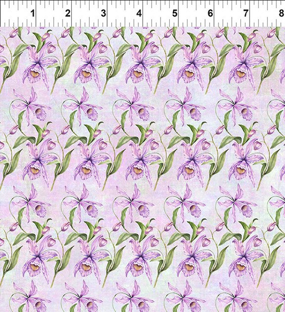 Botanical | In The Beginning Fabrics 5BL1 Orchids Lavender | Per Half Yard