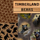 Timberland Bears by QT Fabrics