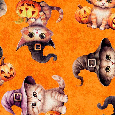 QT Fabrics QT Cuties Halloween Kittens 31178-O Orange | SOLD