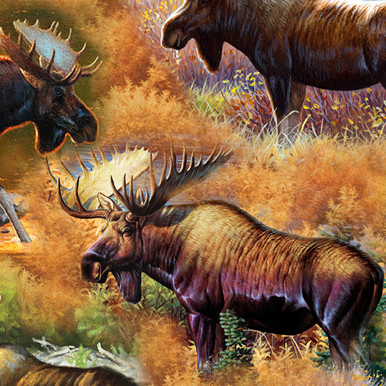 QT Fabrics | Magnificent Moose 29243-S Moose Scenic | PER HALF YARD