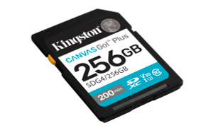 SDG4/256GB, 256GB SDXC Canvas Go Plus Gen4 200MB/s C10 UHS-I U3 V30