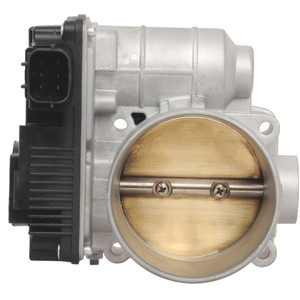 Fuel Injection Throttle Body