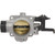 Fuel Injection Throttle Body - 67-1007