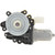 Window Motor - 82-13066