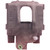 Brake Caliper - 19-1789