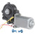 Window Motor - 42-336