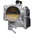 Fuel Injection Throttle Body - 67-2009