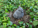 Cardinal Bird Concrete Statue