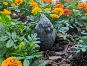 Cardinal Bird Concrete Statue