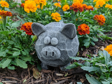 Cute Silly-Eyed Pig Concrete Statue