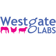 Westgate Labs