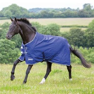 Tempest Original Lite Turnout Rug - Teal Tempest Original Lite Turnout Rug - Teal