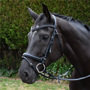 Rhinegold Anatomical Bridle – Italian Leather With Crank Style Flash Noseband (Inc Smooth Rubber Reins) Rhinegold Anatomical Bridle – Italian Leather With Crank Style Flash Noseband (Inc Smooth Rubber Reins)