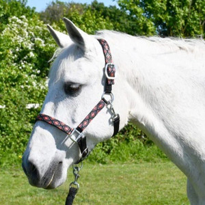 Rhinegold Diamond Pattern Headcollar and Leadrope Set - Black Rhinegold Diamond Pattern Headcollar and Leadrope Set - Black