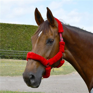 Rhineold Fur Trim Headcollar
