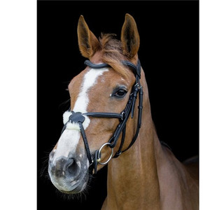 Cameo Equine Core Collection Anatomic Grackle Bridle With Reins Cameo Equine Core Collection Anatomic Grackle Bridle With Reins