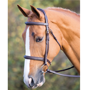 Salisbury Fairford Bridle