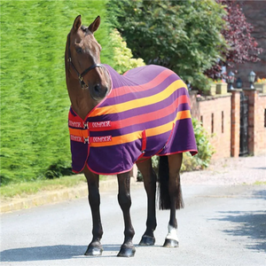 Tempest Original Newmarket Fleece Rug - Purple