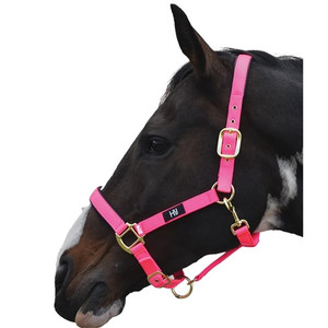 Hy Equestrian Grand Prix Head Collar Hy Equestrian Grand Prix Head Collar