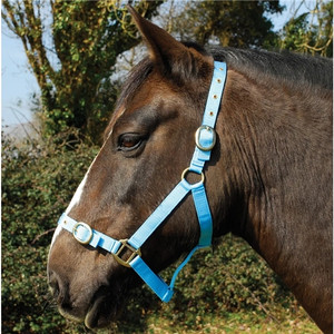 Rhinegold Nylon Headcollar Rhinegold Nylon Headcollar