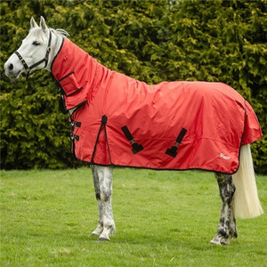 Rhinegold Konig Full Neck Outdoor Rug Rhinegold Konig Full Neck Outdoor Rug