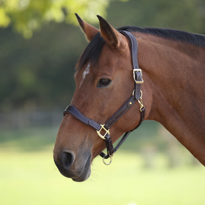 Velociti Lusso Lorca Leather Headcollar Velociti Lusso Lorca Leather Headcollar