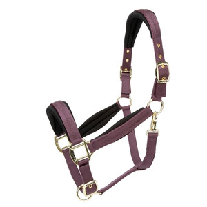 ARMA Padded Headcollar ARMA Padded Headcollar