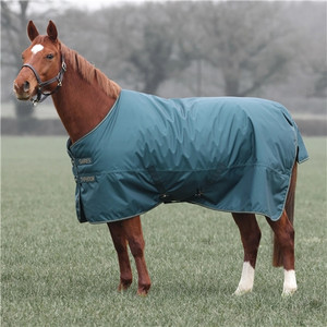 Typhoon 200 Standard Neck Turnout Rug - Green Typhoon 200 Standard Neck Turnout Rug - Green