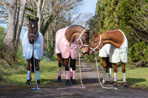 Rhinegold Sorbet Fleece Rugs