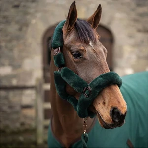 CAMEO Deluxe Headcollar