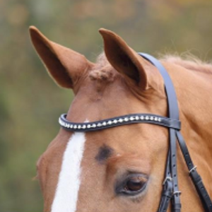 Aviemore Large Diamante Browband Aviemore Large Diamante Browband