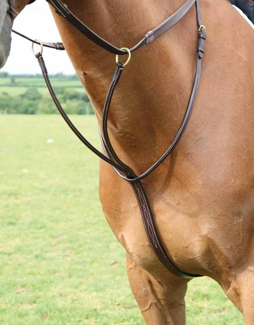 Salisbury Running Martingale