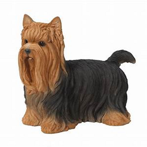 Real Life Yorkshire Terrier Statue