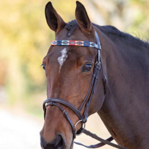 Blenheim Leather Polo Browband