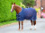 Tempest Original Mesh Cooler Rug