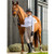 Woof Wear Hybrid II Riding Breeches - Stone