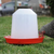 Osprey Chicken Feeder