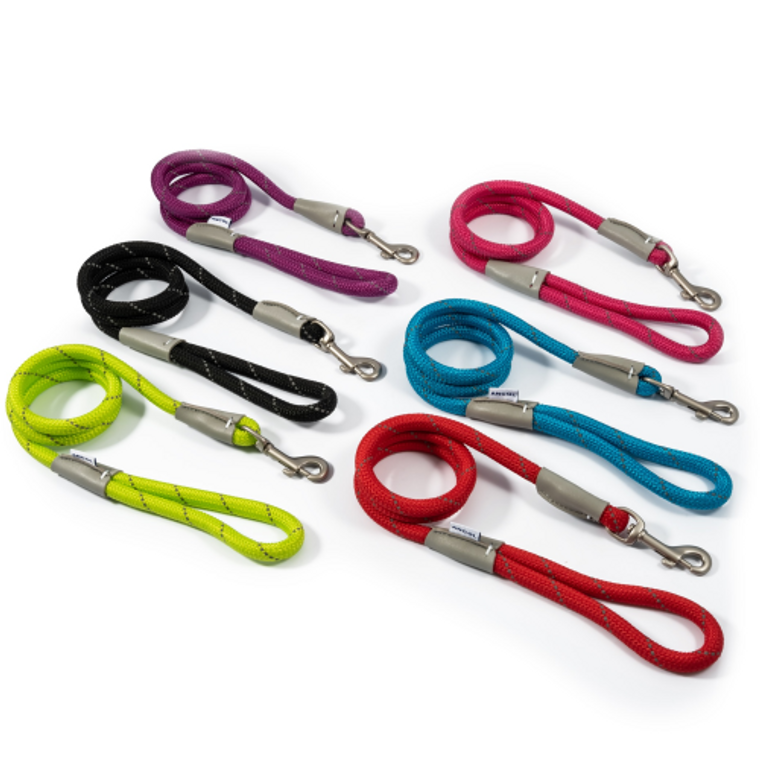 Ancol Viva Reflective Rope Slip