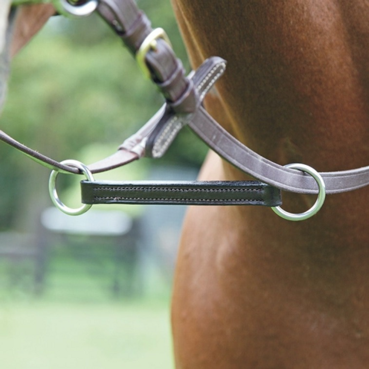 Blenheim Irish Martingale