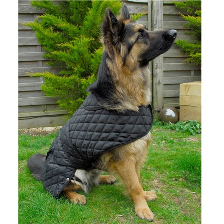 Rhinegold Balmoral Quilted Dog Coat - Black