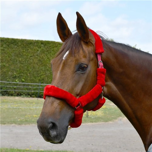 Rhineold Fur Trim Headcollar