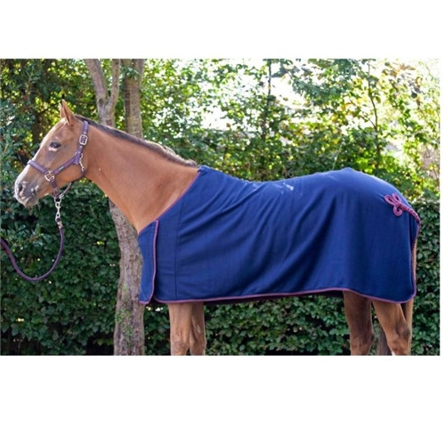 Cameo Equine Core Collection Show Rug - Navy/Burgundy