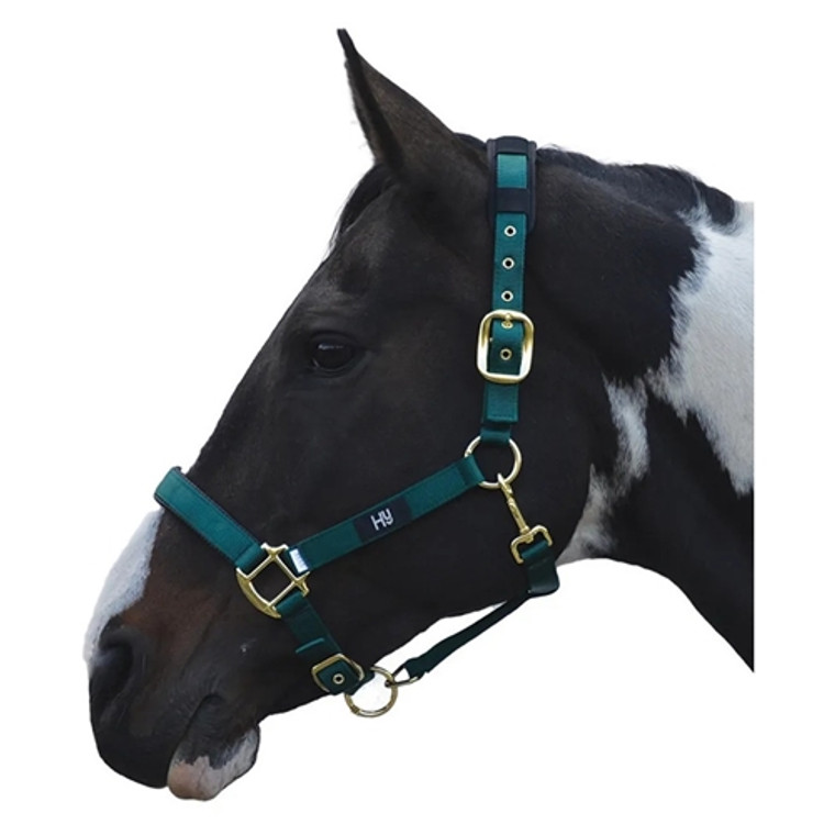 Hy Equestrian Deluxe Padded Head Collar