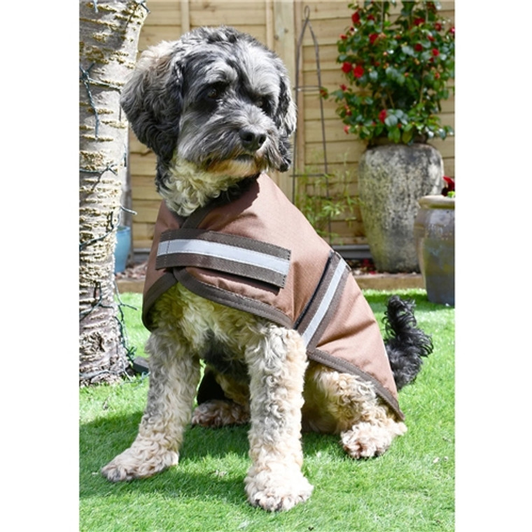 Rhinegold Waterproof Dog Coat