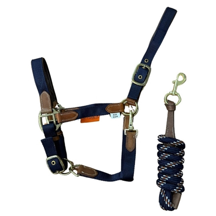 Cameo Equine Performance Leather Headcollar And Lead