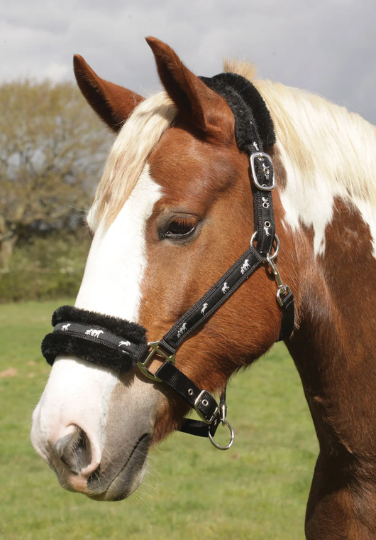 Rhinegold Fleece Trim Logo Headcollar