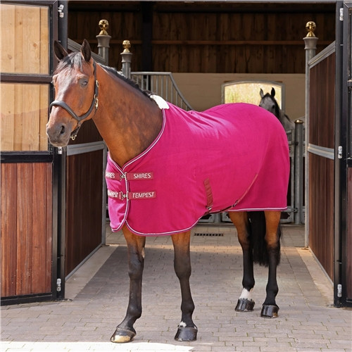 Tempest Original Fleece Rug - Maroon
