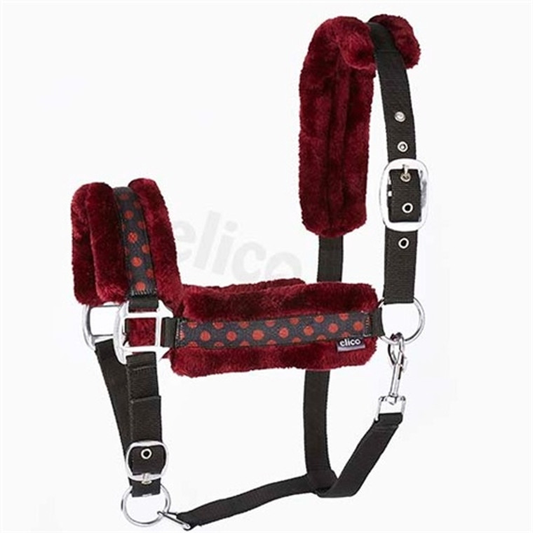 Elico Coniston Headcollar