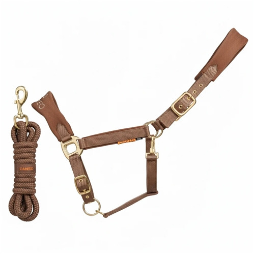 Cameo Equine Suede Elite Headcollar & Rope